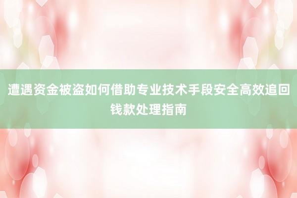 遭遇资金被盗如何借助专业技术手段安全高效追回钱款处理指南