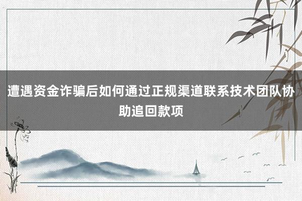 遭遇资金诈骗后如何通过正规渠道联系技术团队协助追回款项